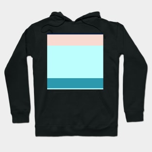 A solitary hybrid of Navy, Deep Sea Blue, Sea, Italian Sky Blue and Champagne Pink stripes. Hoodie